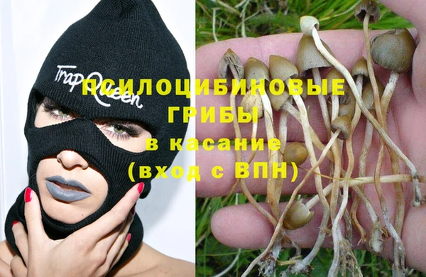 гидра Алексеевка