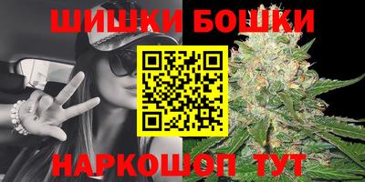 индика Можайск