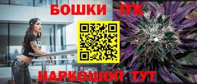 индика Можайск