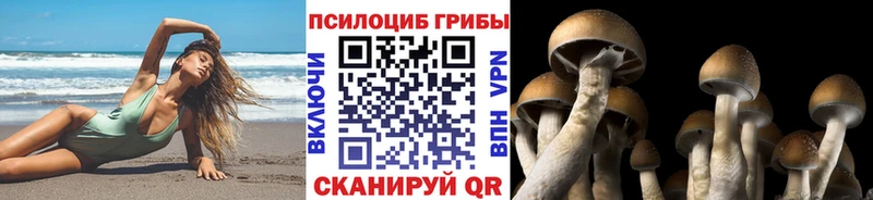 Галлюциногенные грибы Psilocybe  Томск 