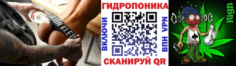 наркотики  гидра рабочий сайт  Канабис OG Kush  Томск 